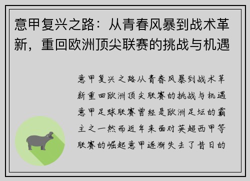 意甲复兴之路：从青春风暴到战术革新，重回欧洲顶尖联赛的挑战与机遇