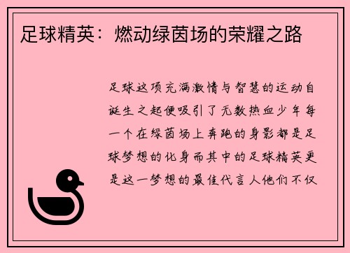 足球精英：燃动绿茵场的荣耀之路
